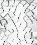Pókháló N0 21